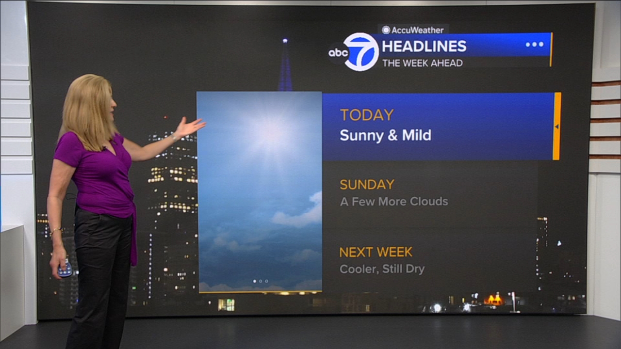AccuWeather Forecast: Sunny and mild
— ABC 7 Bay Area, Pearland Community news