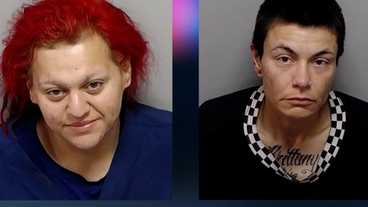 Dogs left to die while owners were passed out and intoxicated in nearby truck, San Antonio police say — KENS 5 (San Antonio), Pearland Community news