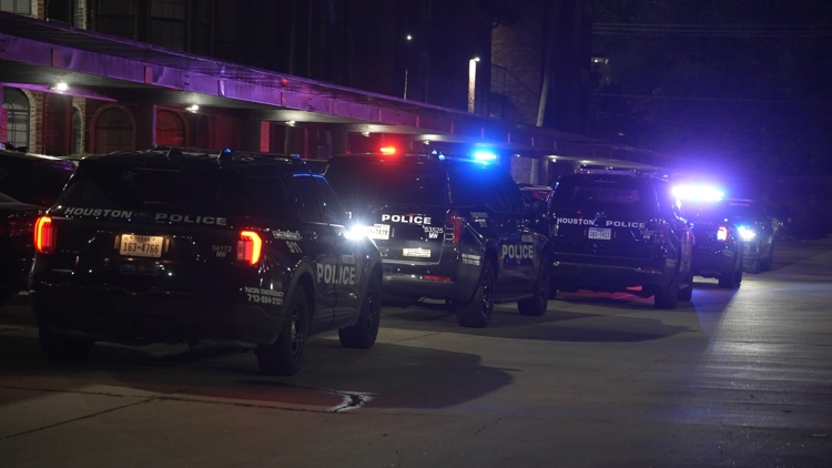 Man wearing Halloween costume shot after late-night encounter takes unexpected turn, Houston police say — Pearland Community news